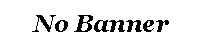 NOBANNER.GIF - 405BYTES